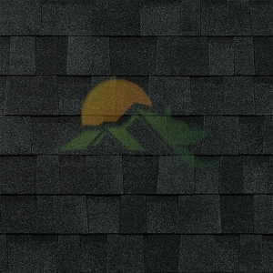 Gont bitumiczny Owens Corning TriDefinition Duration w kolorze Onyx Black